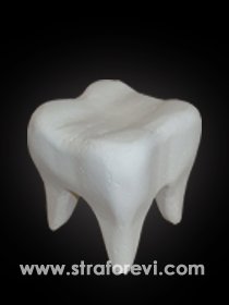 Strafor Diş Maketi Büyük Boy 3 Boyutlu